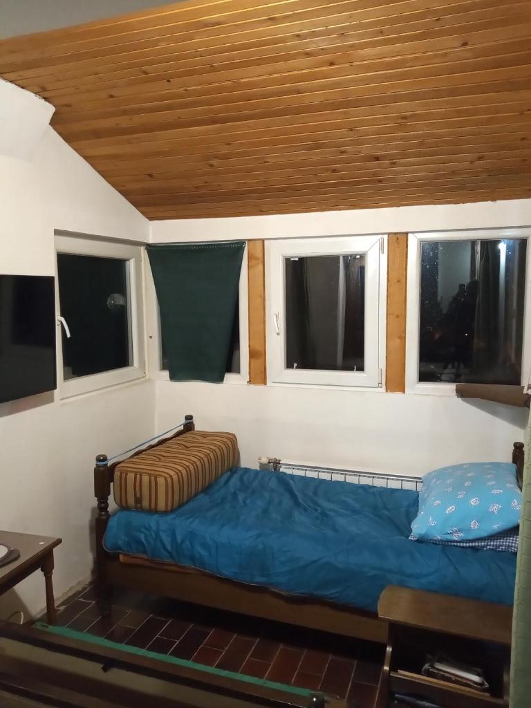 KopanikTreskaPotok15e photo 1