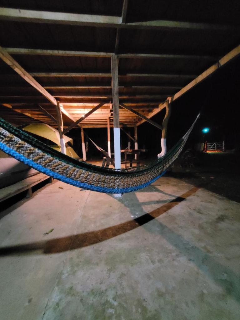 Life for Life Hostel Drake Bay Home of Sea Turtle Marine Conservation Project Osa Peninsula near San Josecito Beach photo 3