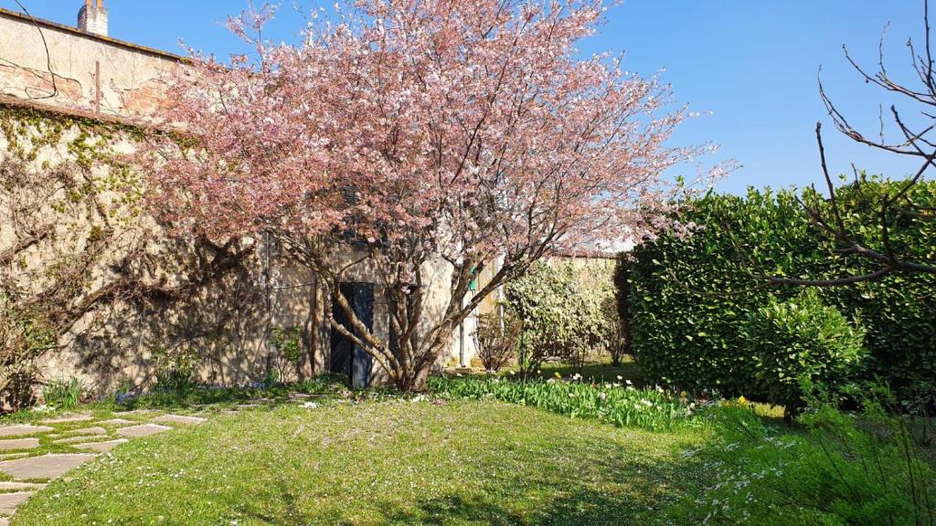 La maison familiale photo 2
