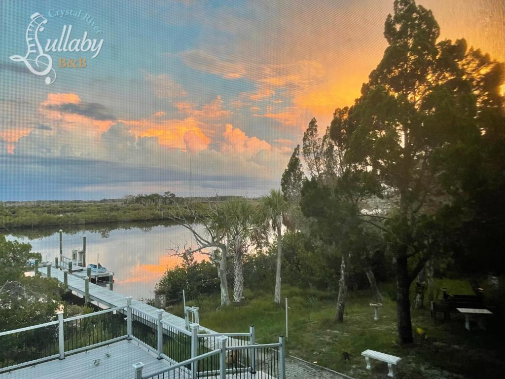 Crystal River Lullaby B&B photo 4