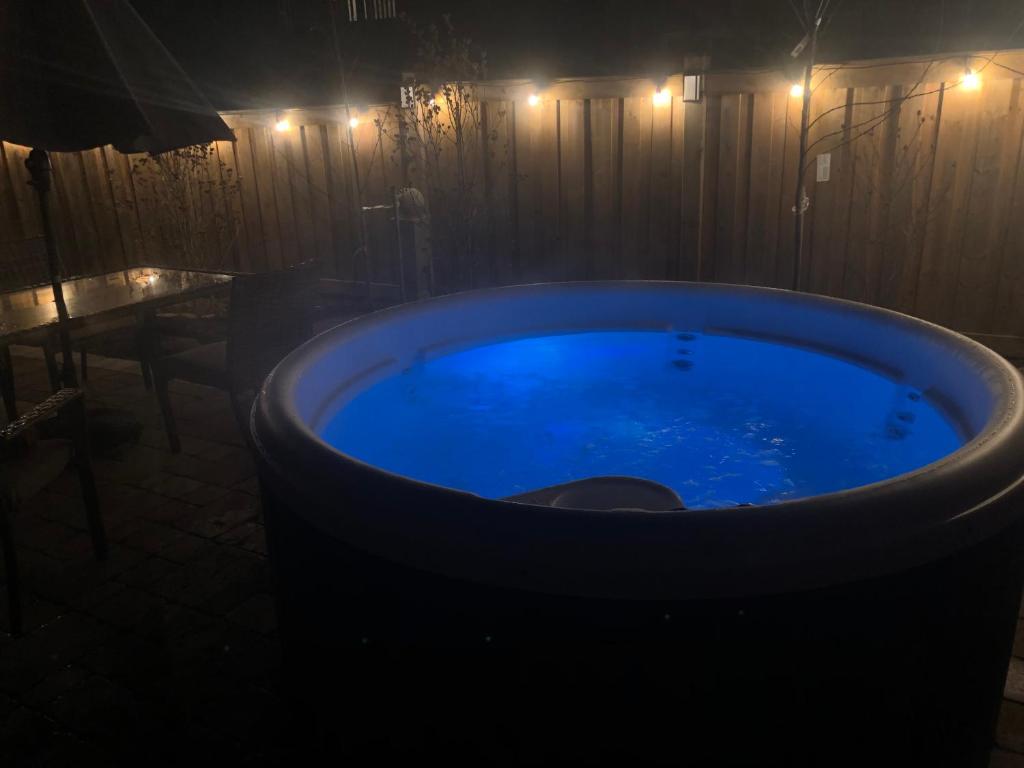 Affordable Toronto Spa Retreat!! Ground level separate unit suite with Jacuzzi!!