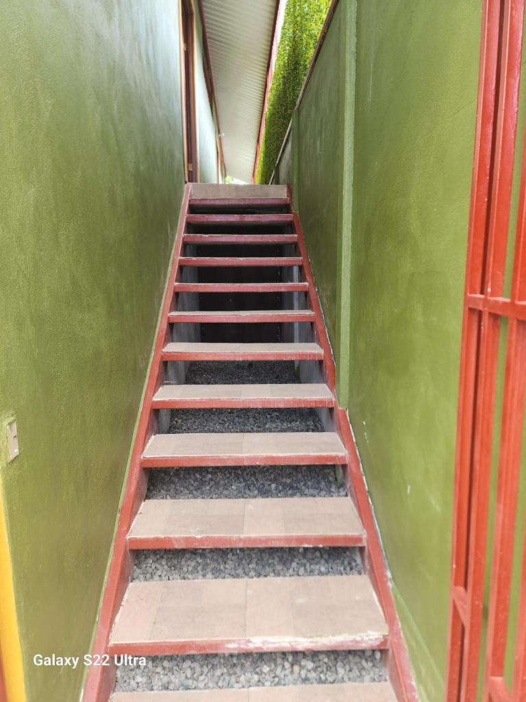 Peluza's place photo 3