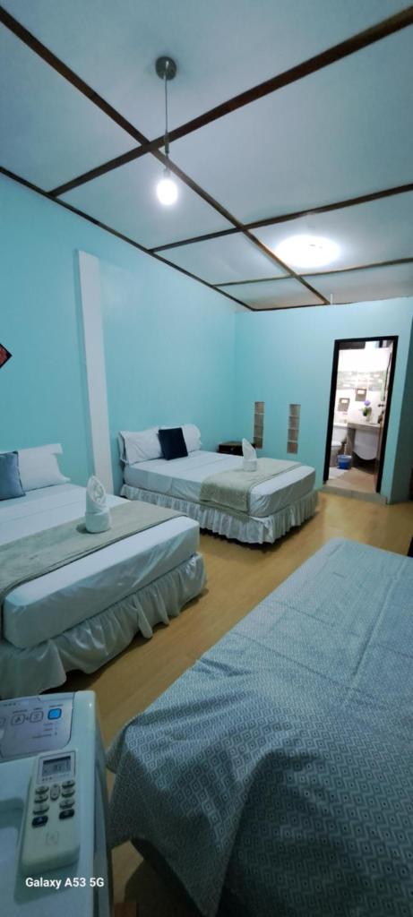 Cozy Hosting Galapagos photo 1