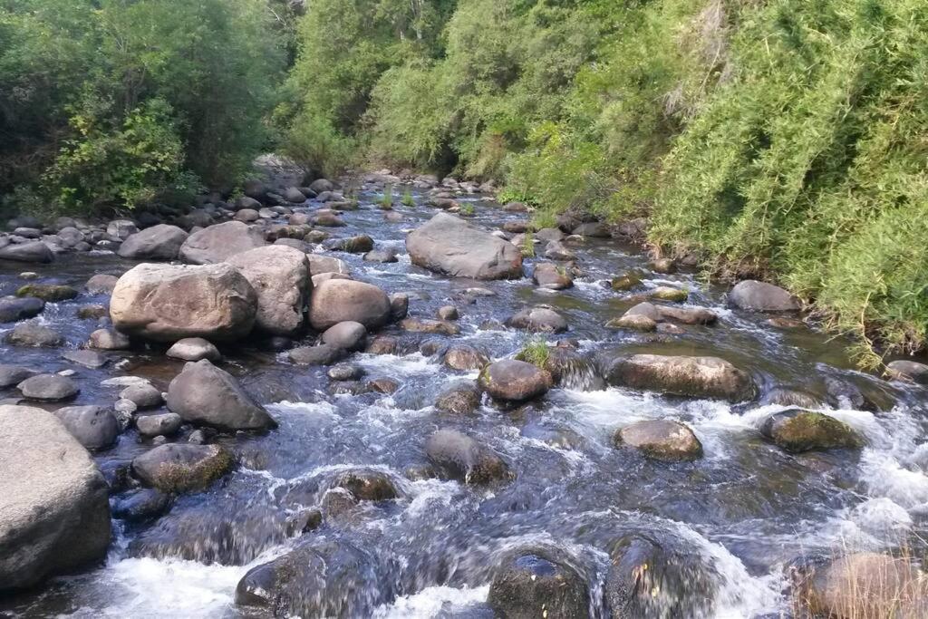 Trupan Green Spa photo 2