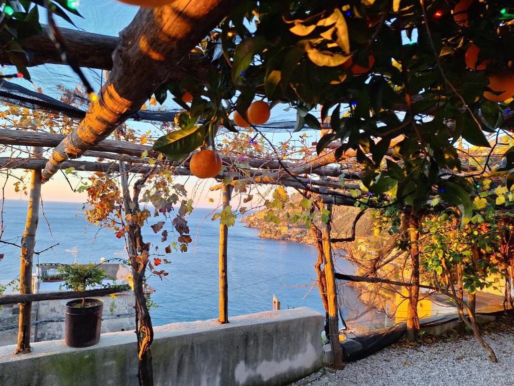 TakeAmalfiCoast Main House photo 1