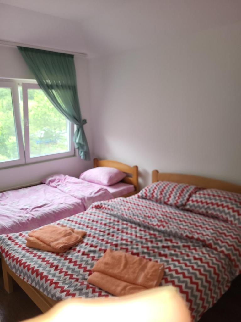 Apartment Pavlovic photo 1