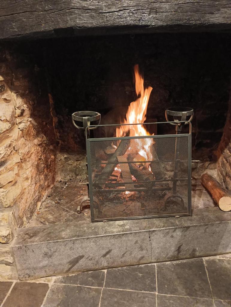 Au coin du feu jacuzzi sauna et nature photo 4
