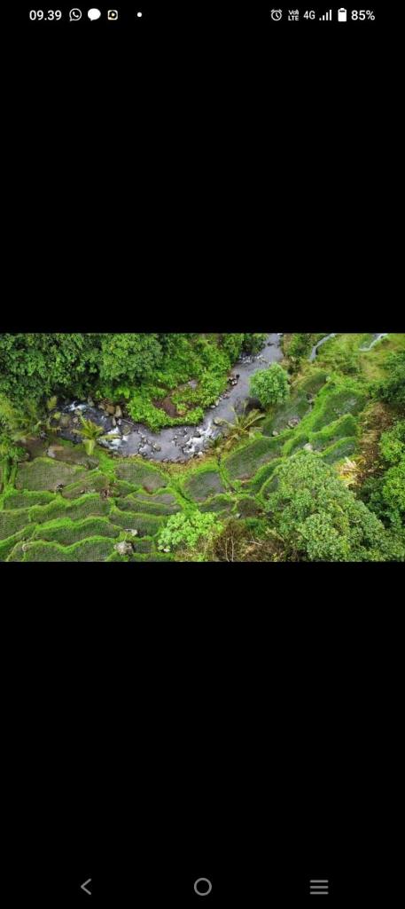 Bali mountain forest cabin photo 2