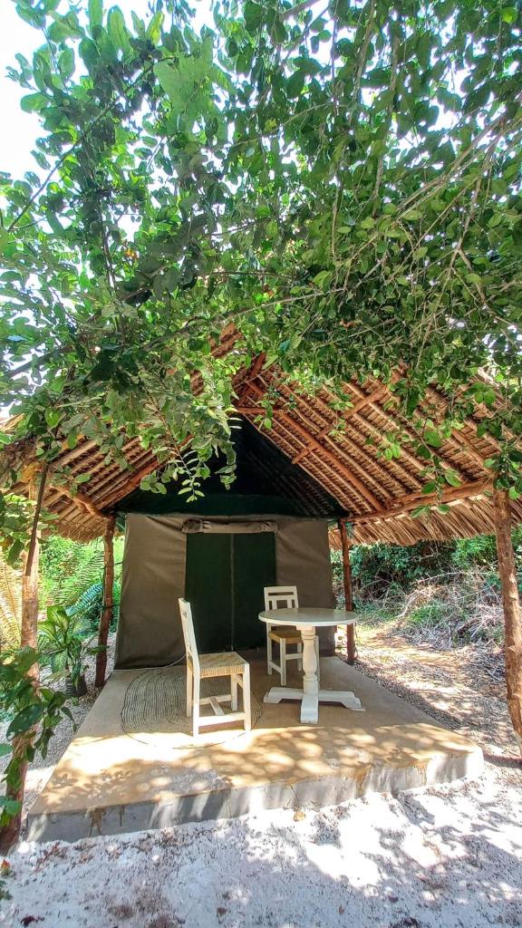 Bamba Kofi Tented Camp photo 3