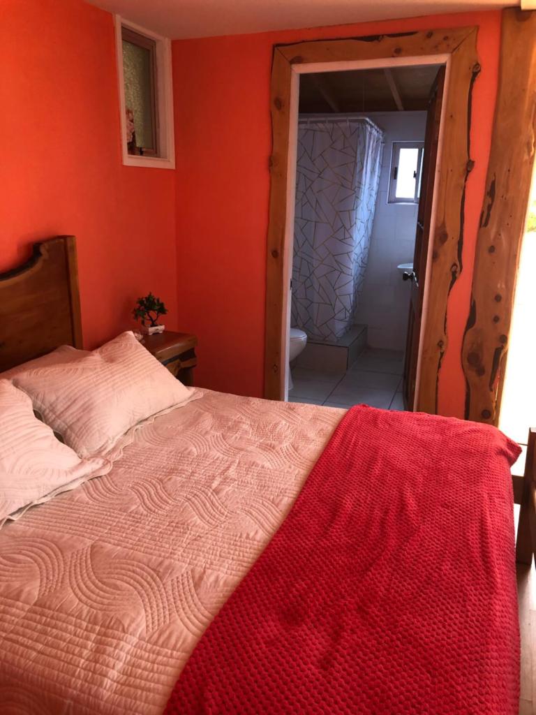 Hostal doña flor y sus 2 maridos photo 3