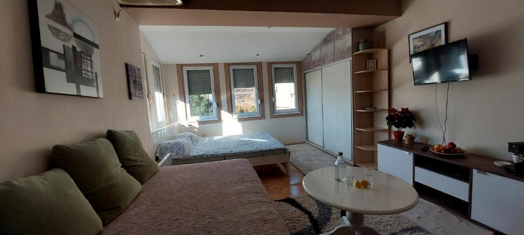 HRISTIJAN APARTMENT in the city center