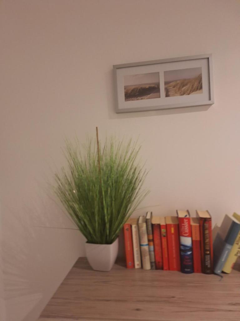 Apartment Annies Deichliebe photo 1