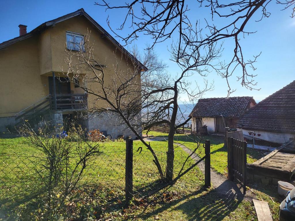 Apartman Mica i Živo