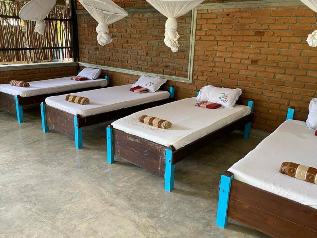 Yala Ying Yang Hostel & Camping photo 2