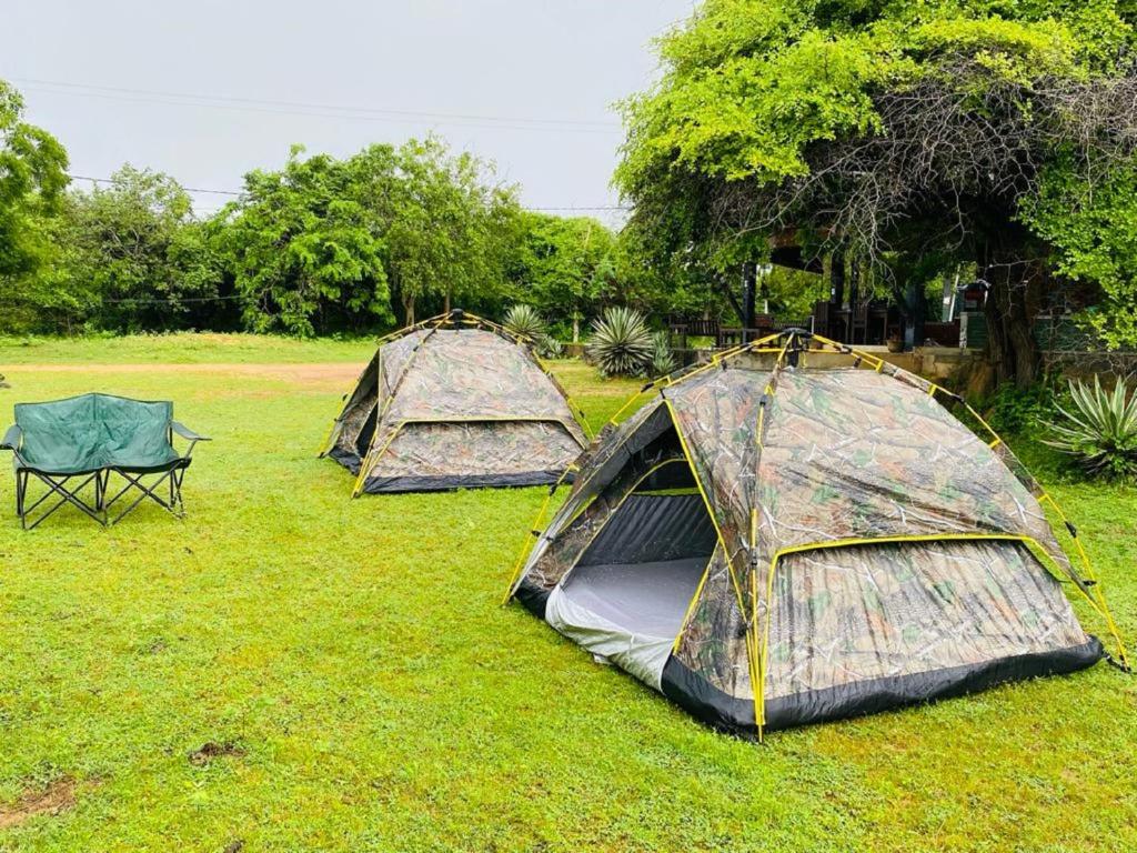 Yala Ying Yang Hostel & Camping
