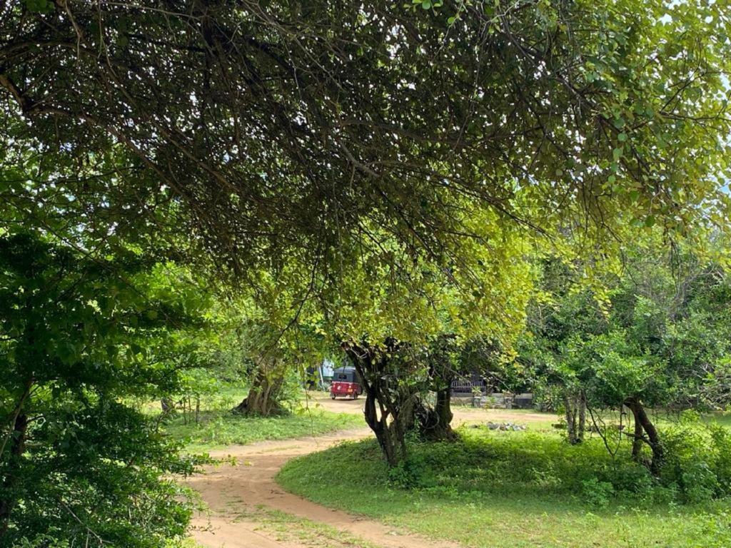 Yala Ying Yang Hostel & Camping photo 4
