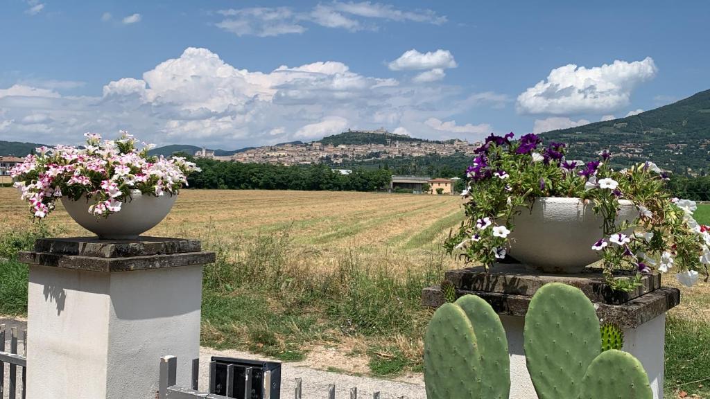 B&B Panorama d'Assisi photo 4