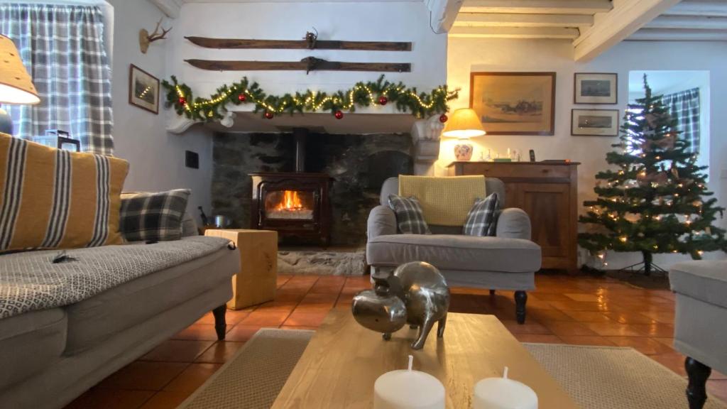 Le Domaine de Castille - maison pyrénéenne de charme - spa de nage photo 4