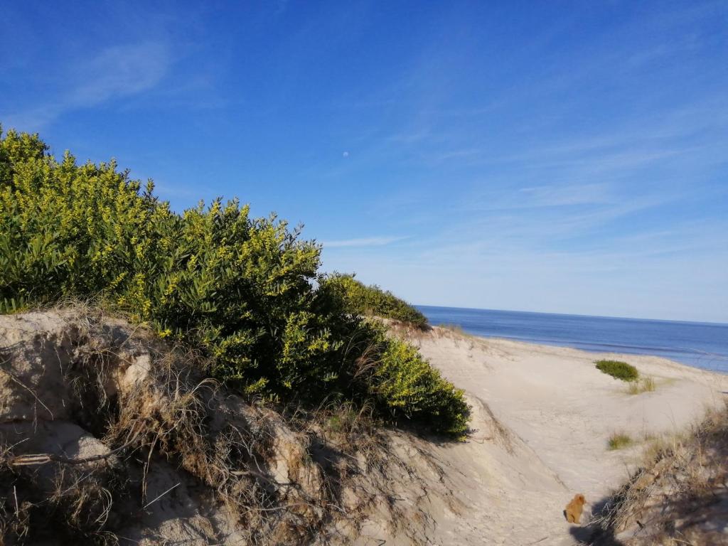 Casa Blanca Beach photo 2