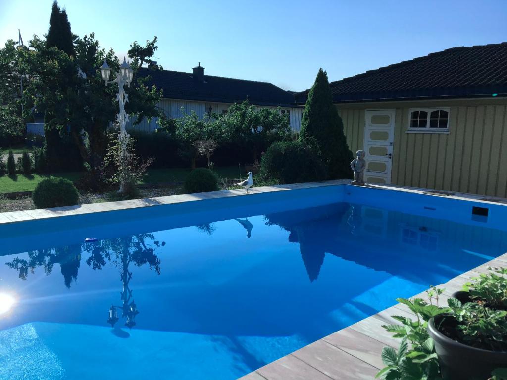 Villa with pool and sauna photo 1
