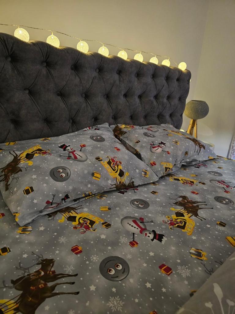 Apartman AURORA CETINJE photo 1