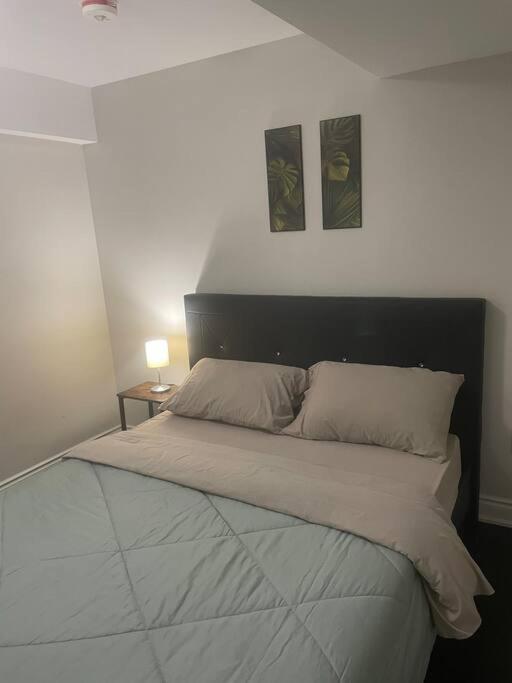 Zen Nest photo 2