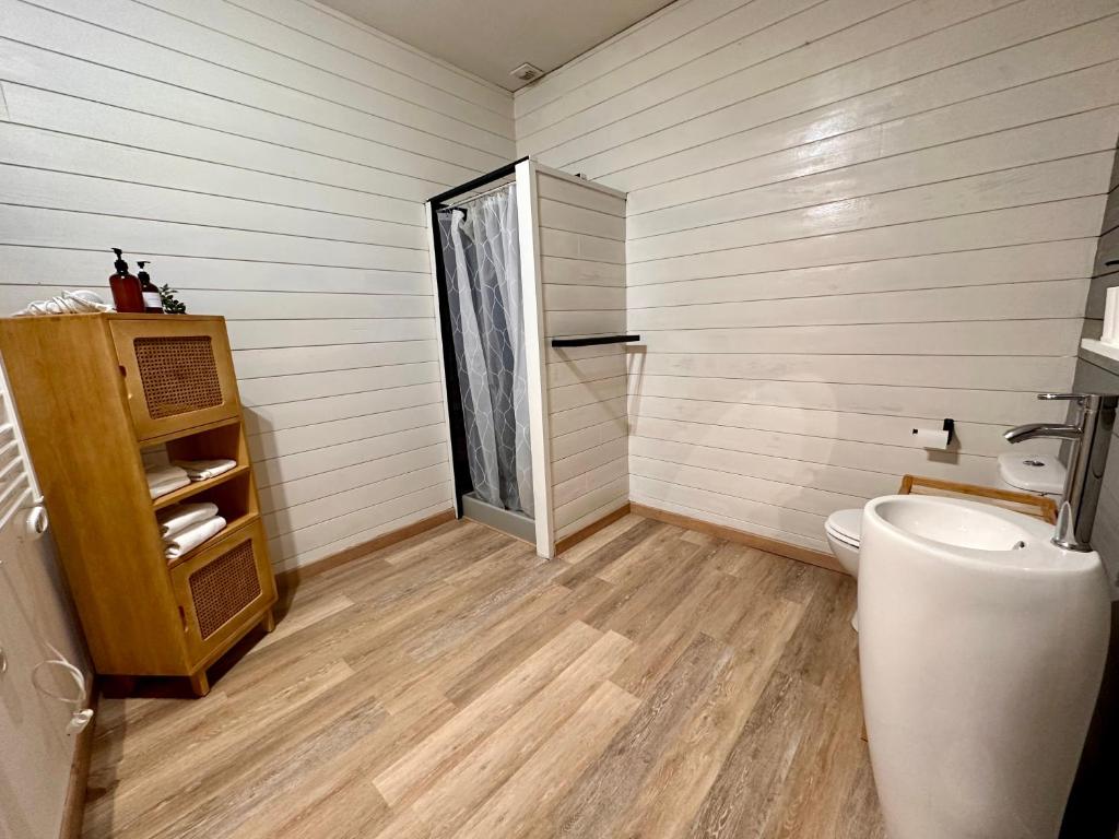 Appartement Centre ville Le blanc photo 3