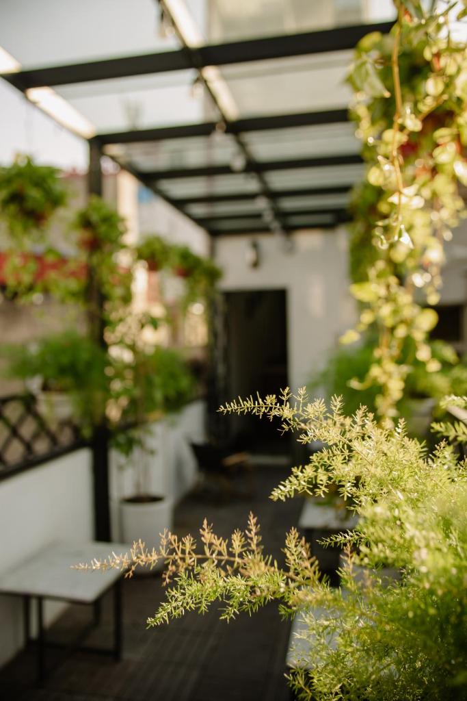 Lanha Hotel - Homestay