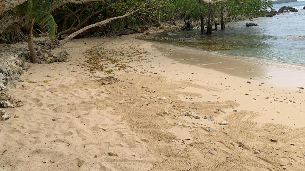 Eco Dive Vanuatu Bungalows & Backpackers photo 1