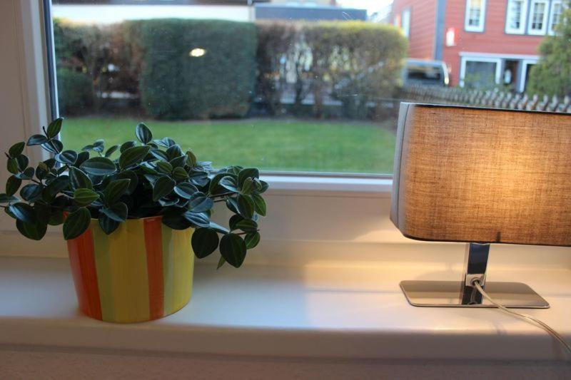Ferienwohnung Arlt photo 1