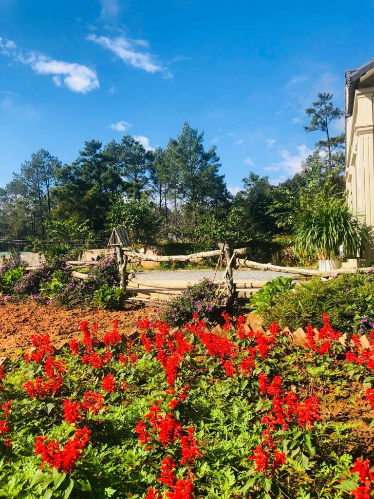 Vườn An nhiên Mộc Châu