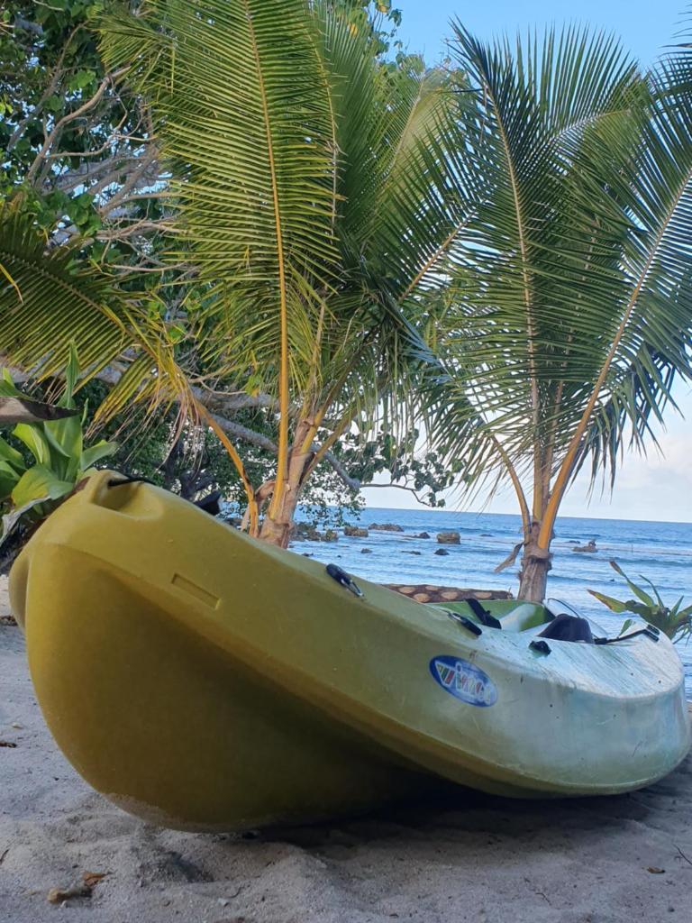 Eco Dive Vanuatu Bungalows & Backpackers photo 2