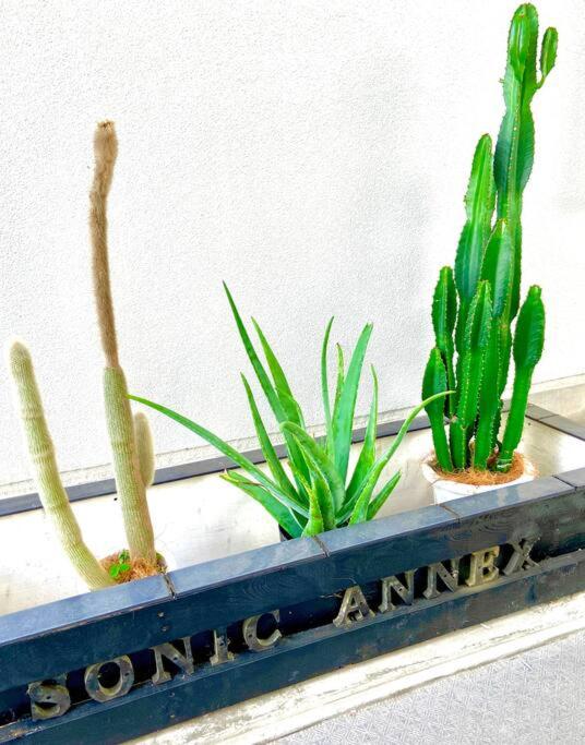 sonic apartment annex202　sonic hotelの離 ４名様まで同一価格 photo 4
