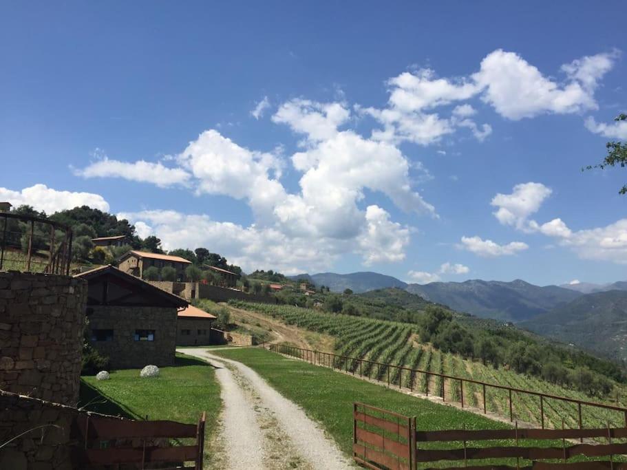 Agriturismo Altavia-Travigne photo 4