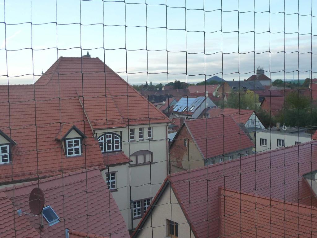 Ferienwohnung DZ Blesse Allstedt photo 4