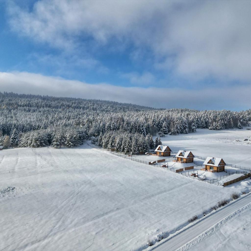 NOVAK CHALET domki z balią photo 1