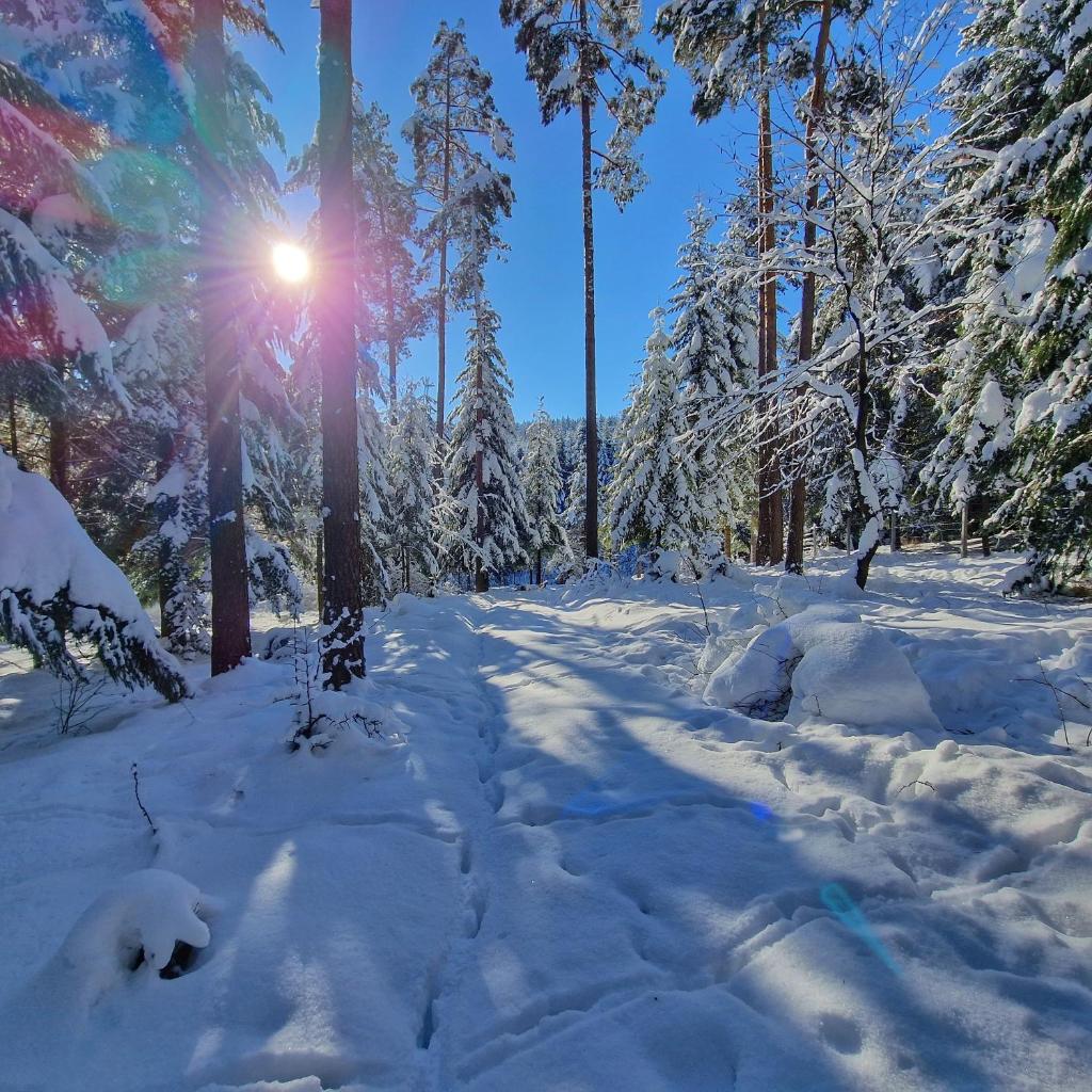 NOVAK CHALET domki z balią photo 4
