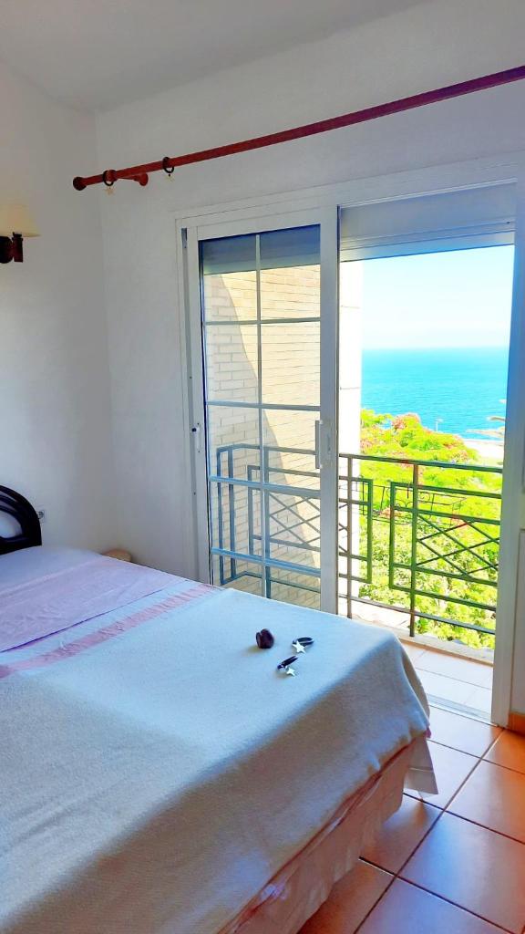 Room and plus Tenerife photo 1