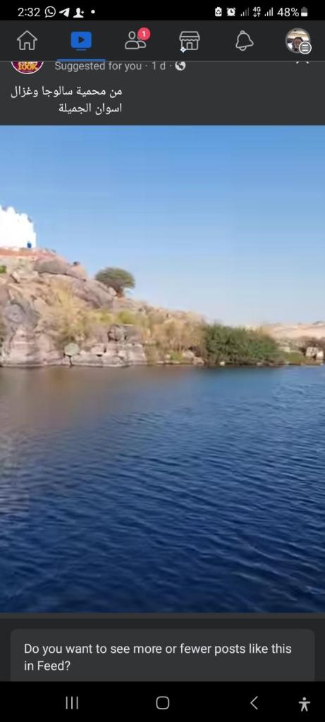 Rose Guest house Aswan photo 3