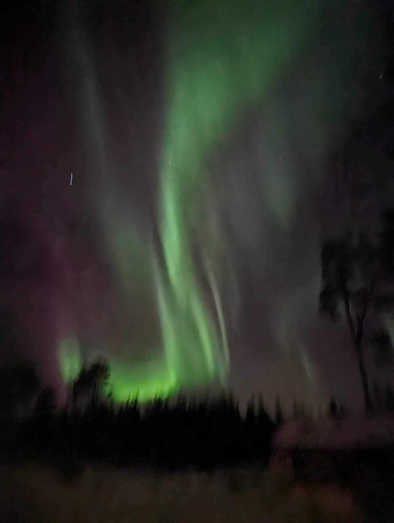 Lägenhet i lugn trädgård photo 1