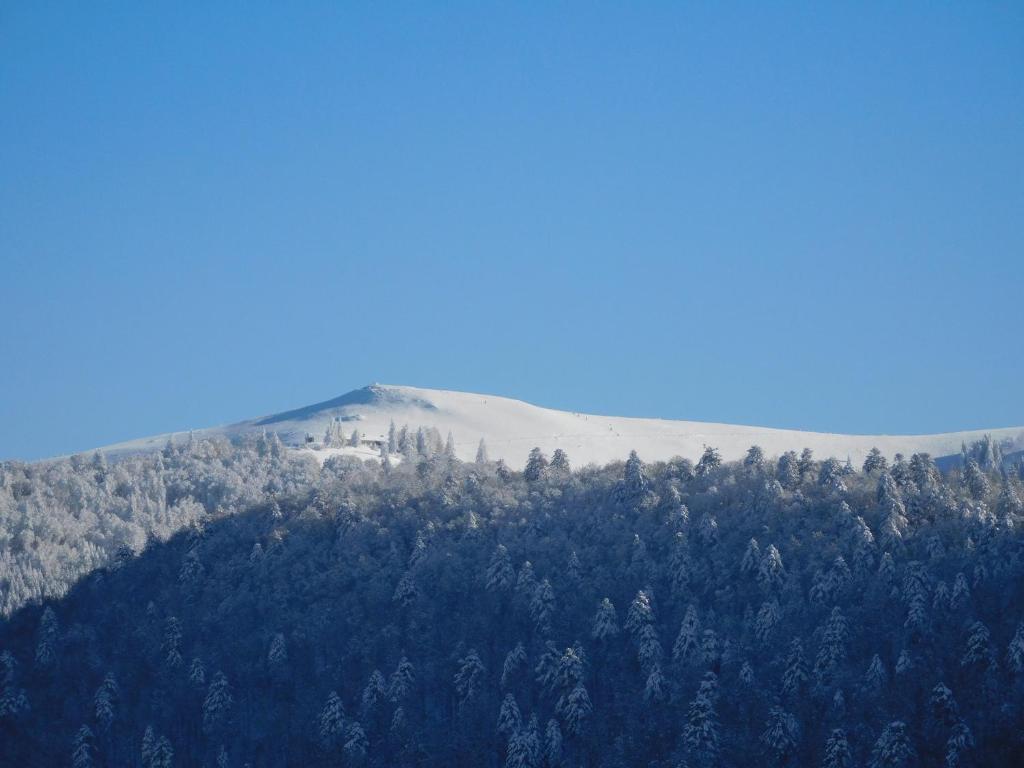 Chalet du Pommery, Hautes-Vosges photo 1