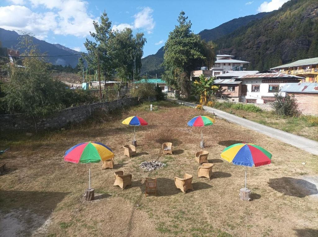 Zomsa home garden lounge