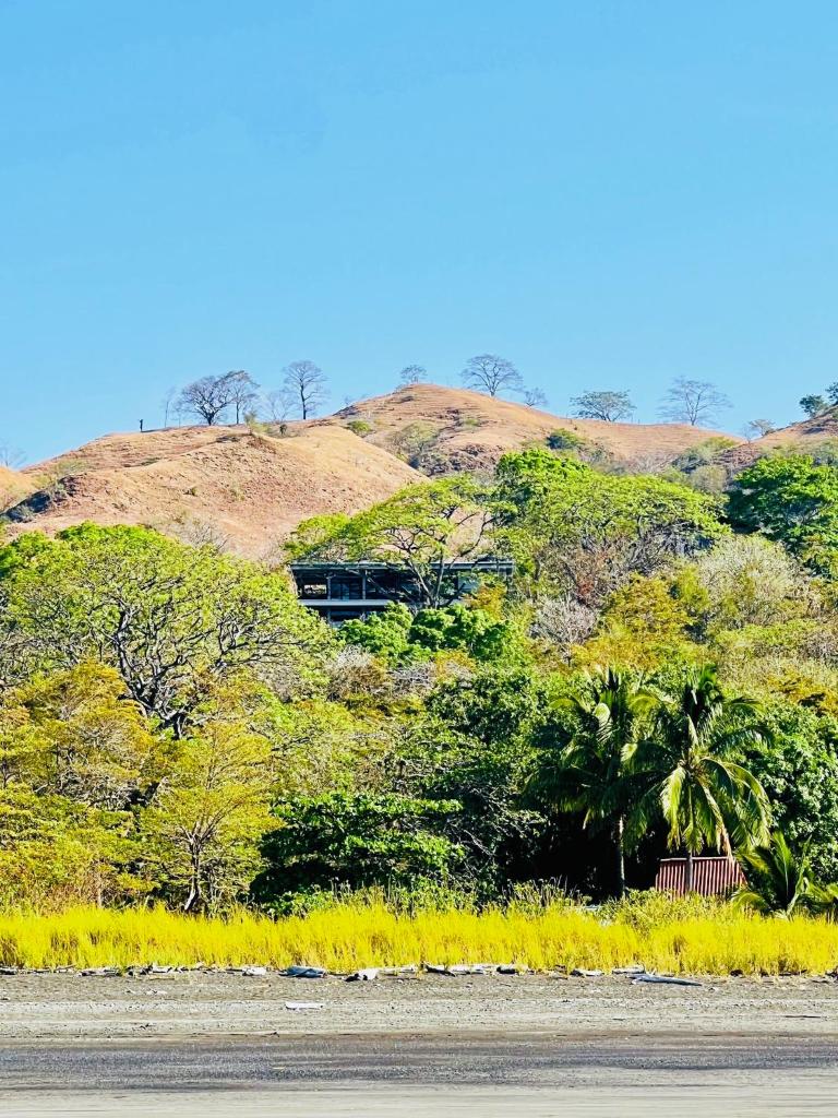 The Hill Panama photo 2