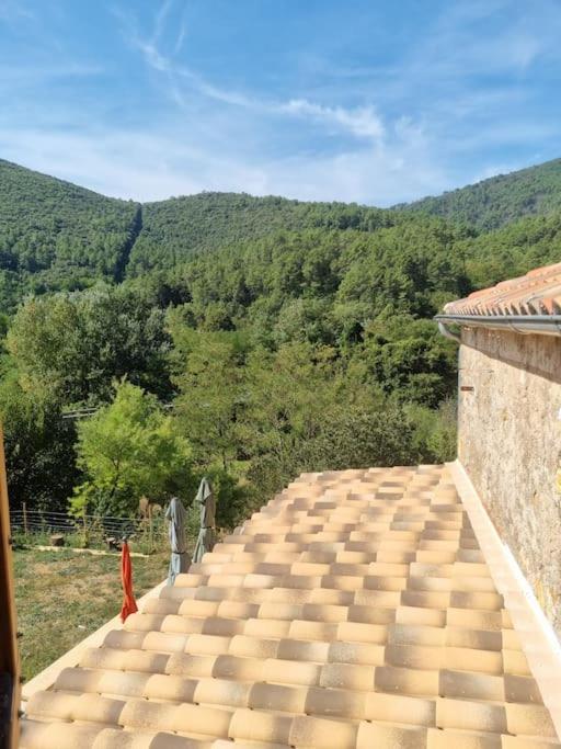 Gîte de la tourterelle photo 4
