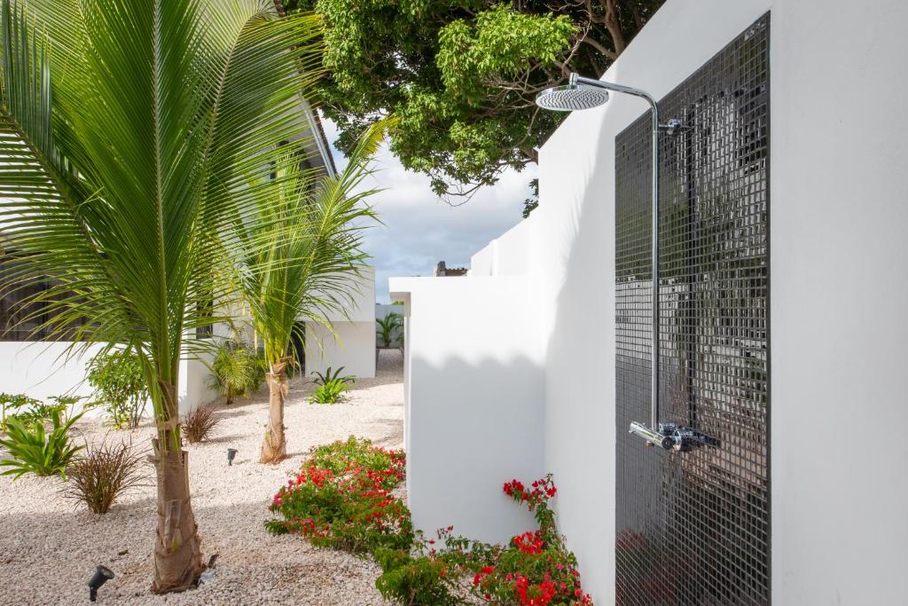 Oasis luxury apartment in Jan Thiel photo 4