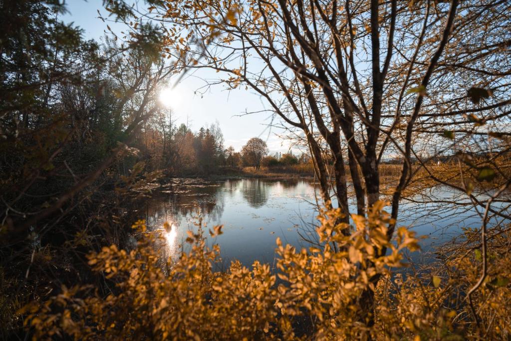 MiniBora Le beaumier - Cantons-de-l'Est photo 3