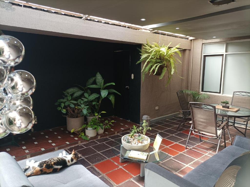 Conforta Rentals & Spa photo 1