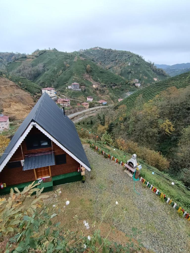 LEROZ BUNGALOV photo 4