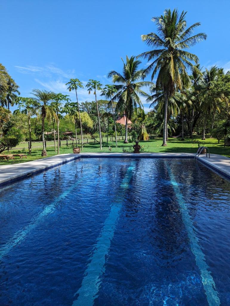 Paraiso Cocodrilo lodge - spirit of nature photo 4