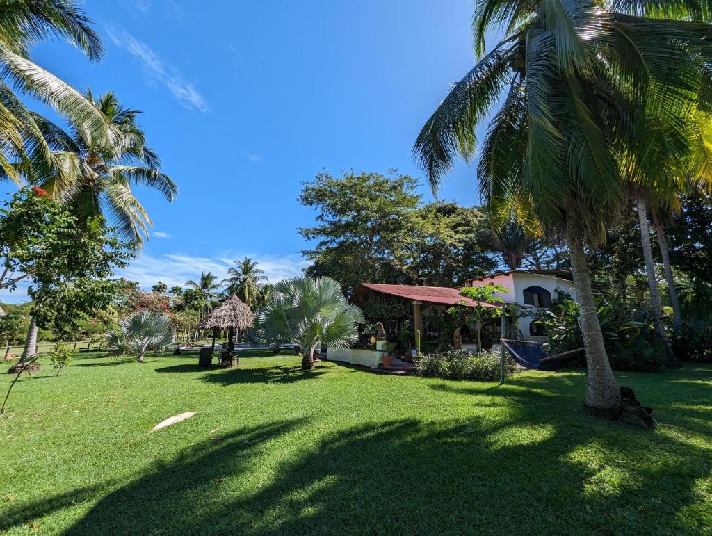 Paraiso Cocodrilo lodge - spirit of nature photo 2
